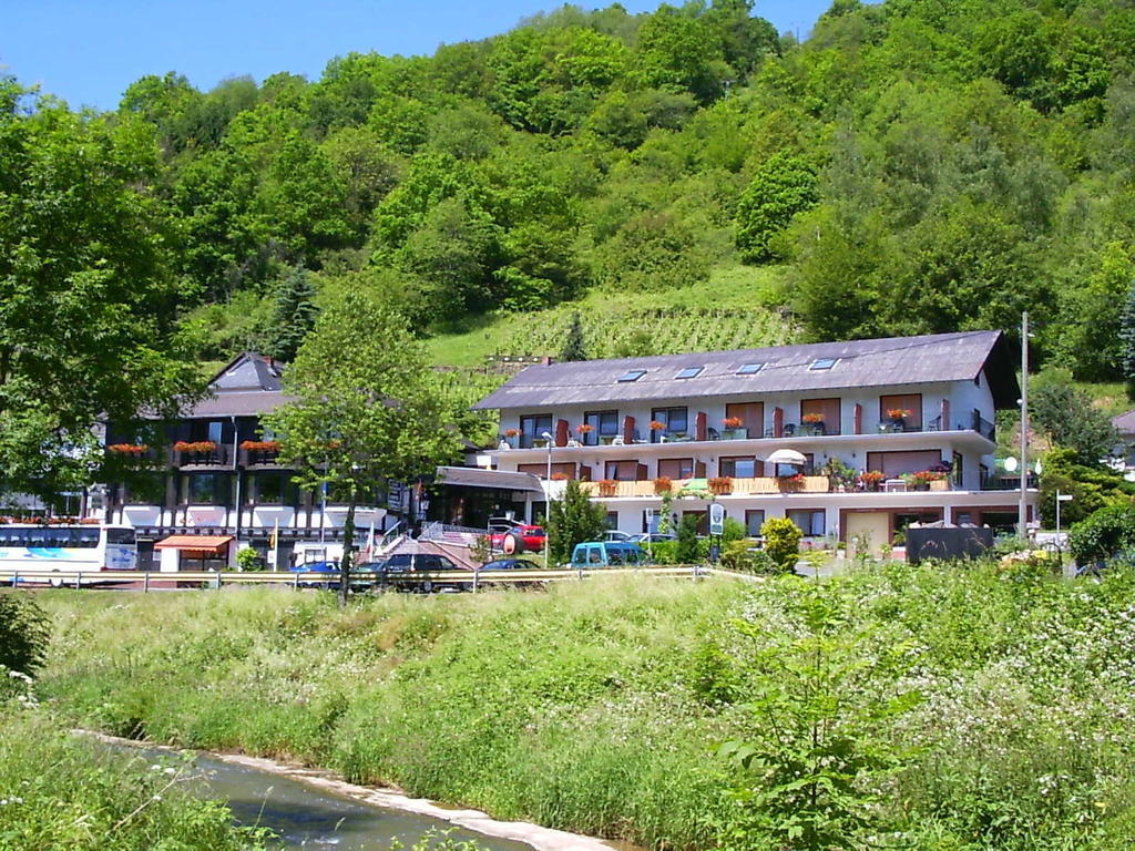 Landhotel Weinhaus Treis Weinähr Εξωτερικό φωτογραφία